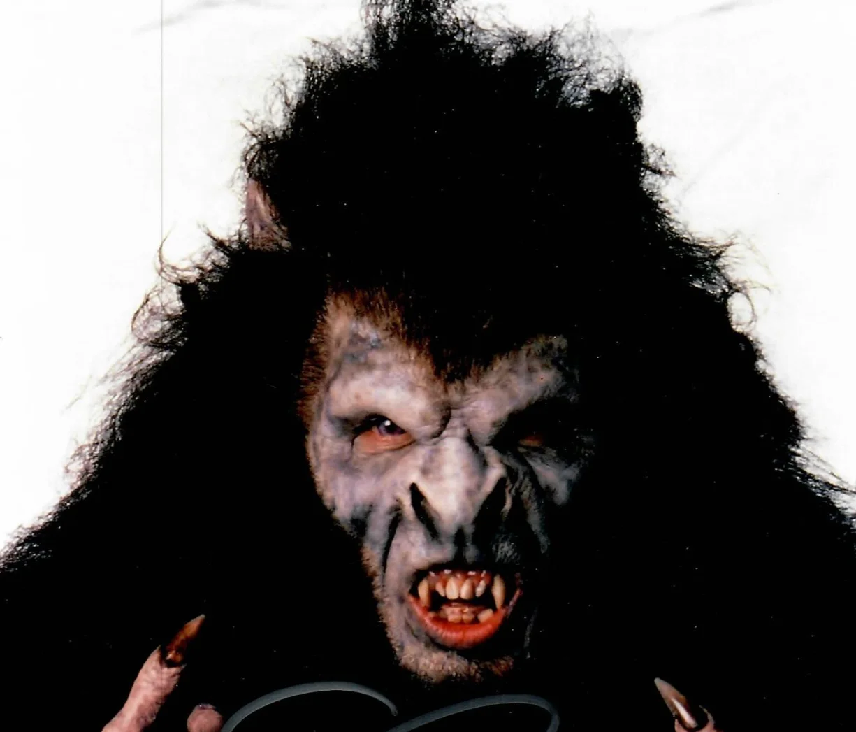 Gary Oldman — Gary Oldman Dracula Movie Actor Full Wolf Makeup Signed 8 x 10 Photo TTM COA, image 3