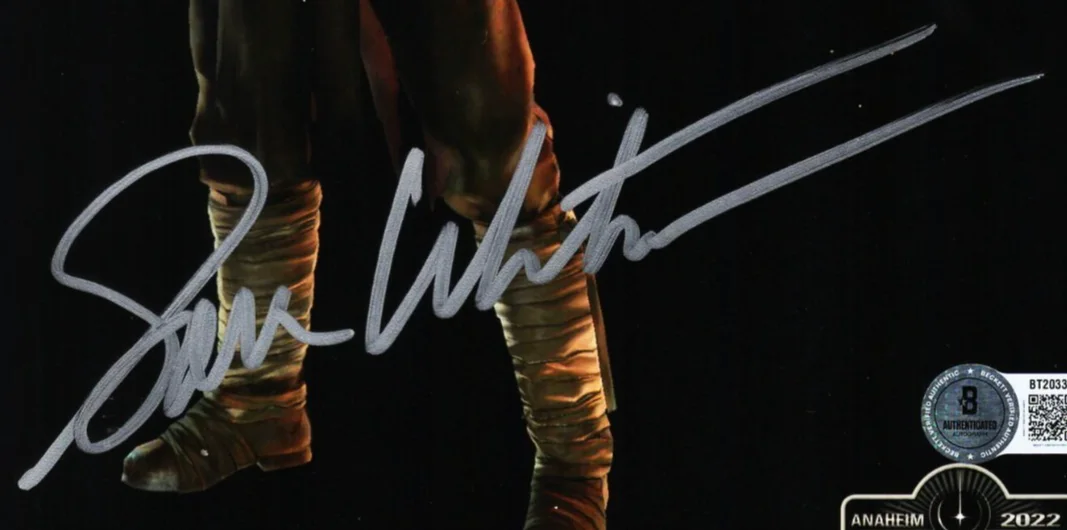 SAM WITWER — SAM WITWER Signed 8x10 OPX Photo Galen Marek, Starkiller BAS #BT20337, image 2