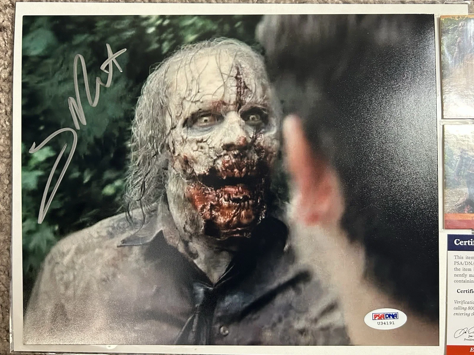 GREG NICOTERO Signed Walking Dead KNB Effects 1 8x10 & Wardrobe Cards PSA, изображение 2