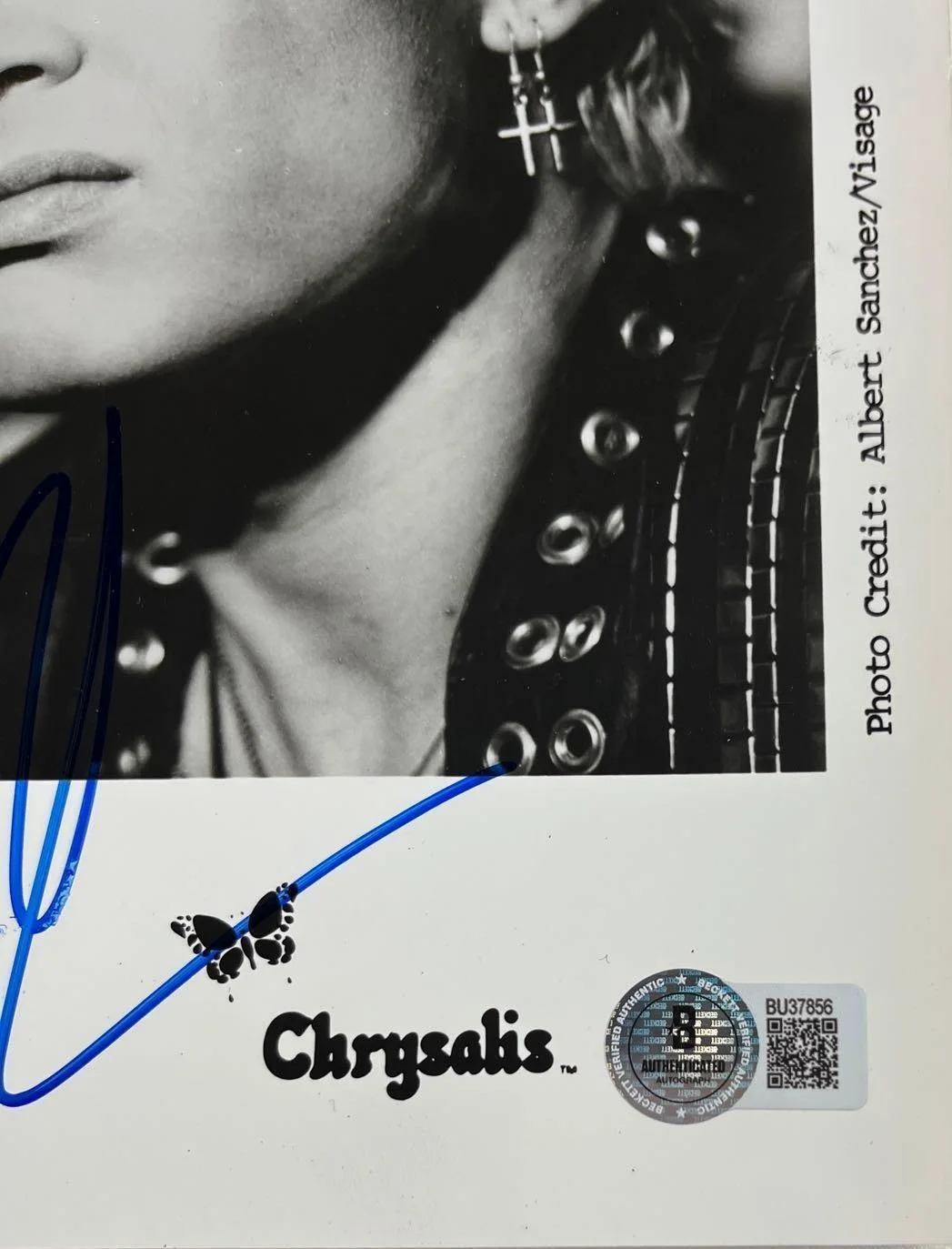 Billy Idol Vintage 1980s Signed 10" x 8" Promo Photo (Beckett/BAS), image 2