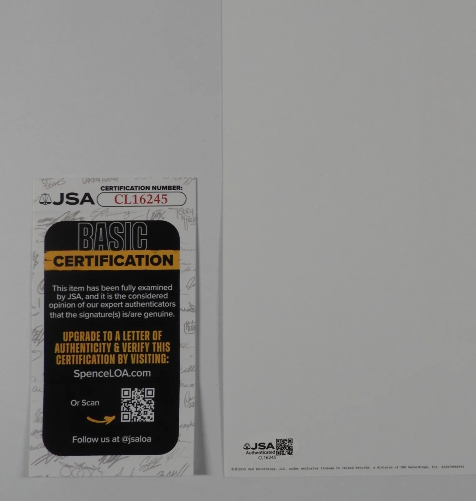Demi Lovato JSA Signed Autograph Record Album Insert It's Not That Deep, image 2