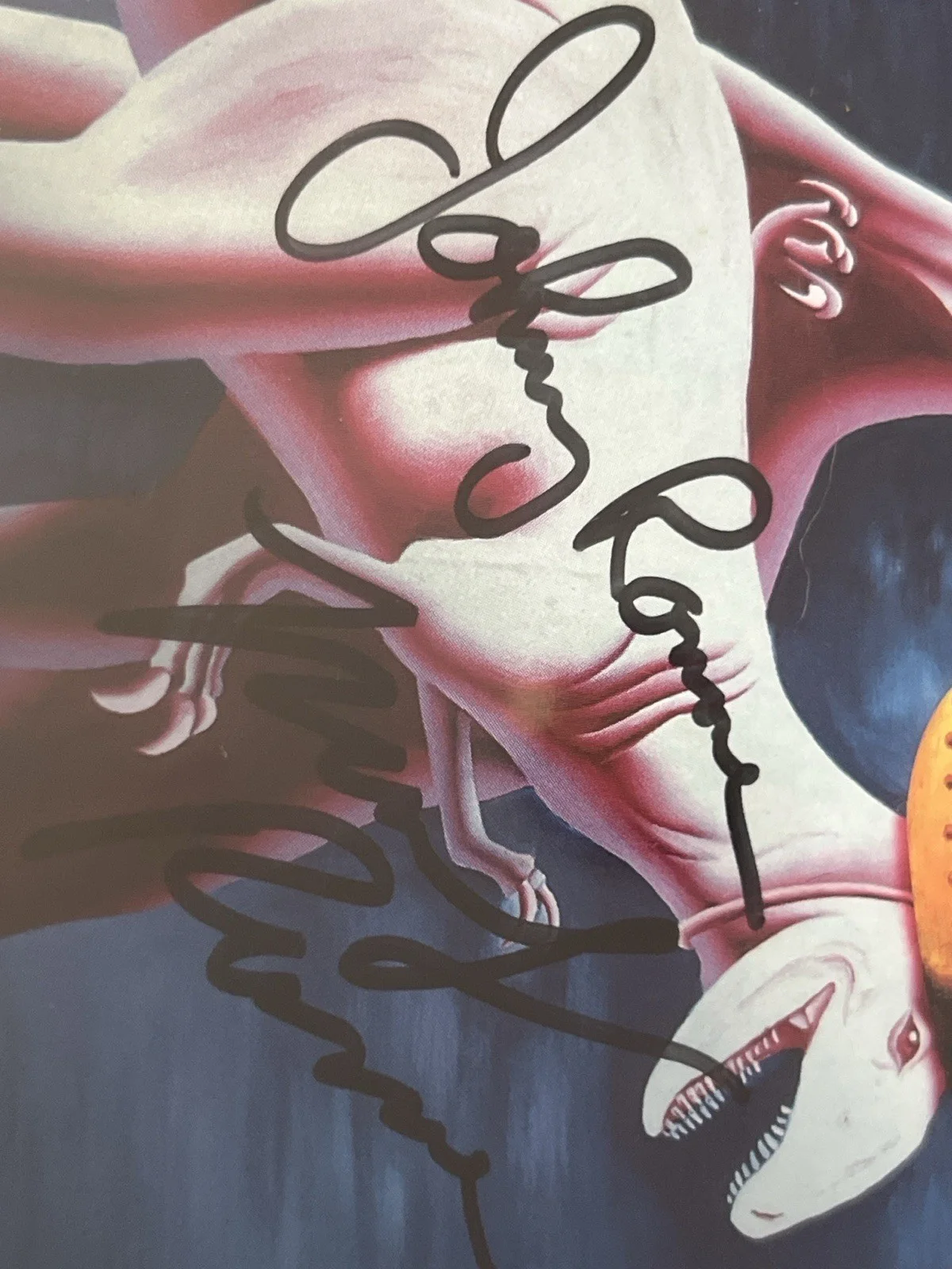The Ramones Full Band signed CD Cover PSA/DNA slabbed, image 5