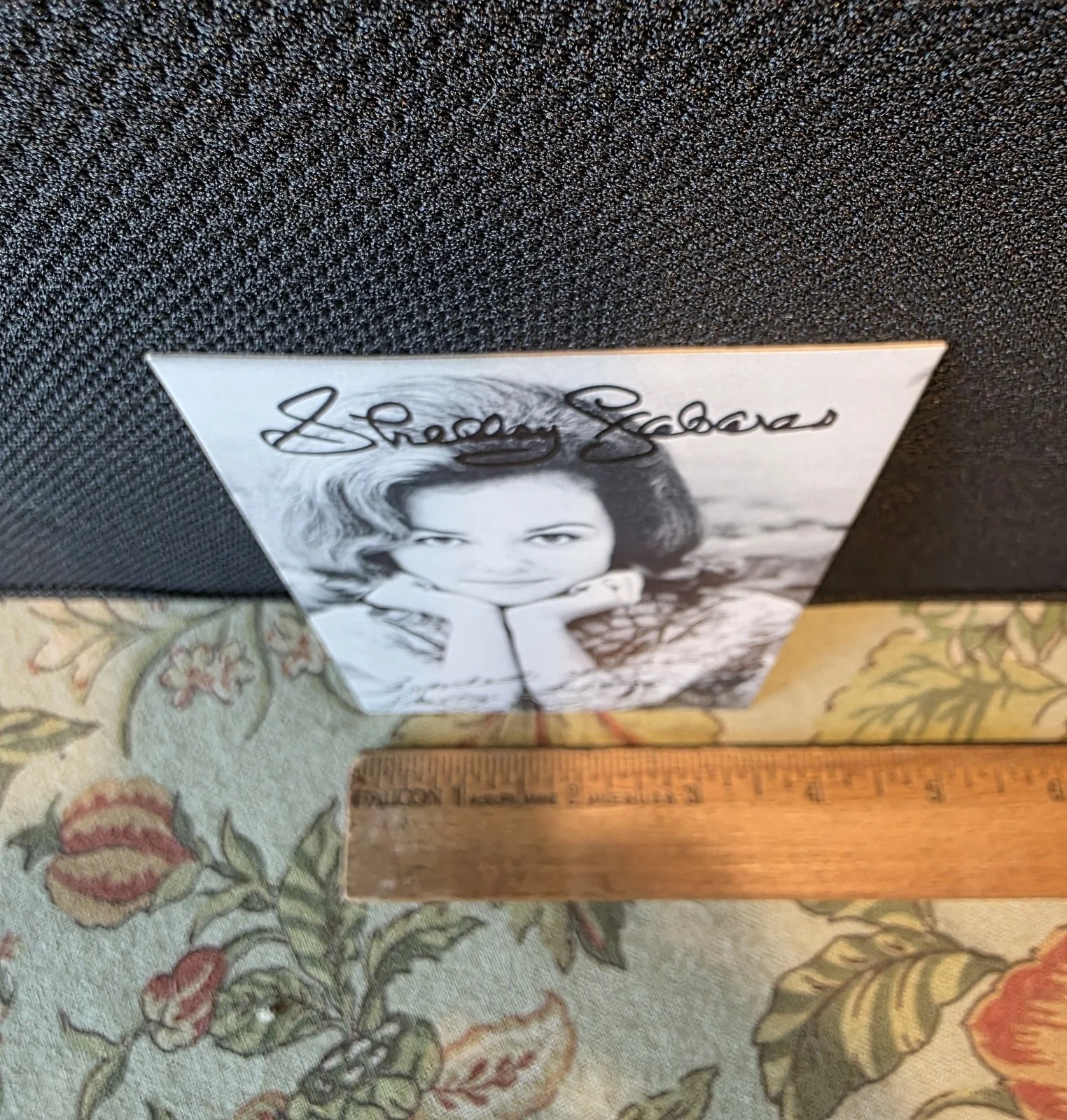 Shelly Fabares — Vintage Shelly Fabares Signed Actress Singer Arcade Card 3 x 5 Autographed 1960s, image 5
