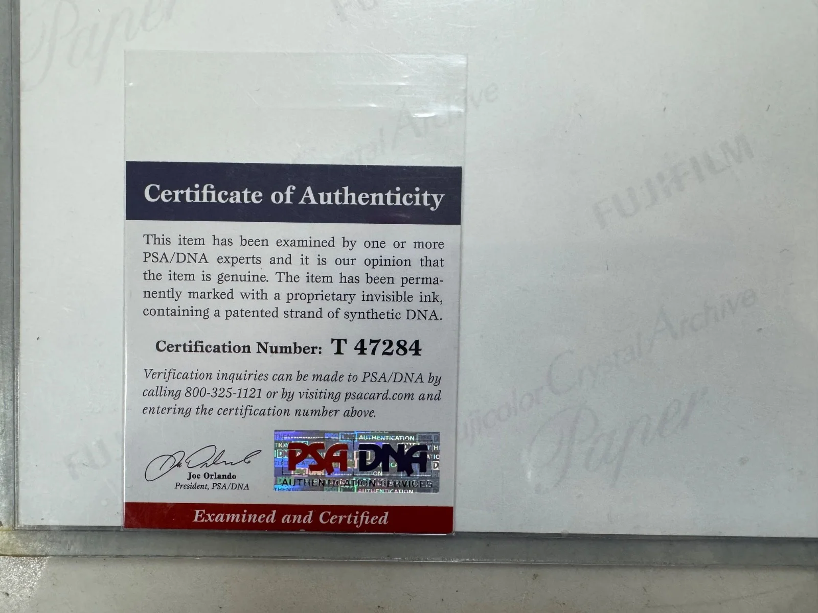 CHRIS CORNELL SIGNED 11X14 PHOTO SOUNDGARDEN PSA DNA CERT - **SEE PICS**, image 5