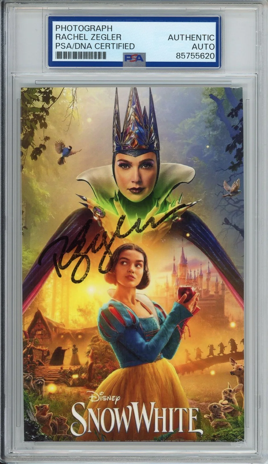 Rachel Zegler — DISNEY SNOW WHITE & THE SEVEN DWARFS SIGNED PHOTO PICTURE RACHEL ZEGLER PSA DNA