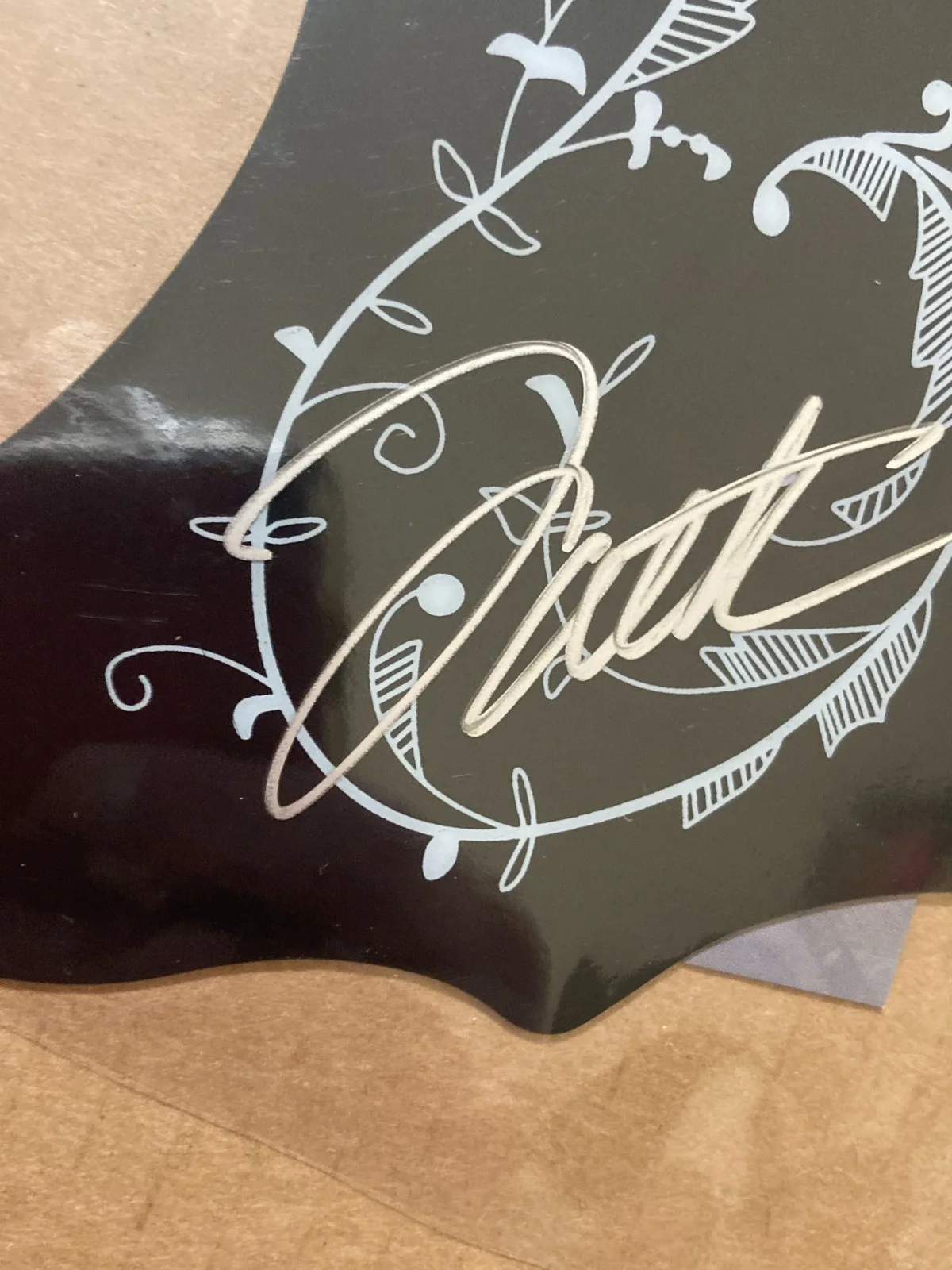 Country Music Legend FAITH HILL SIGNED Guitar Pick Guard with COA, изображение 2