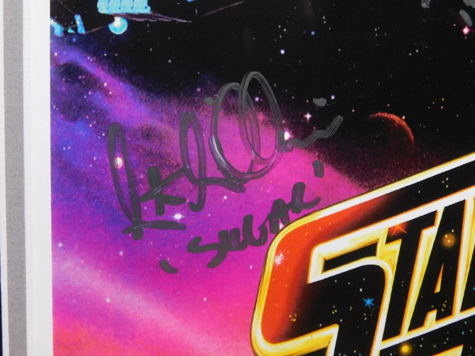 Denise Richards — Starship Troopers Cast Signed x8 w Richards VanDien Meyer Ironside Busey JSA COA, изображение 2