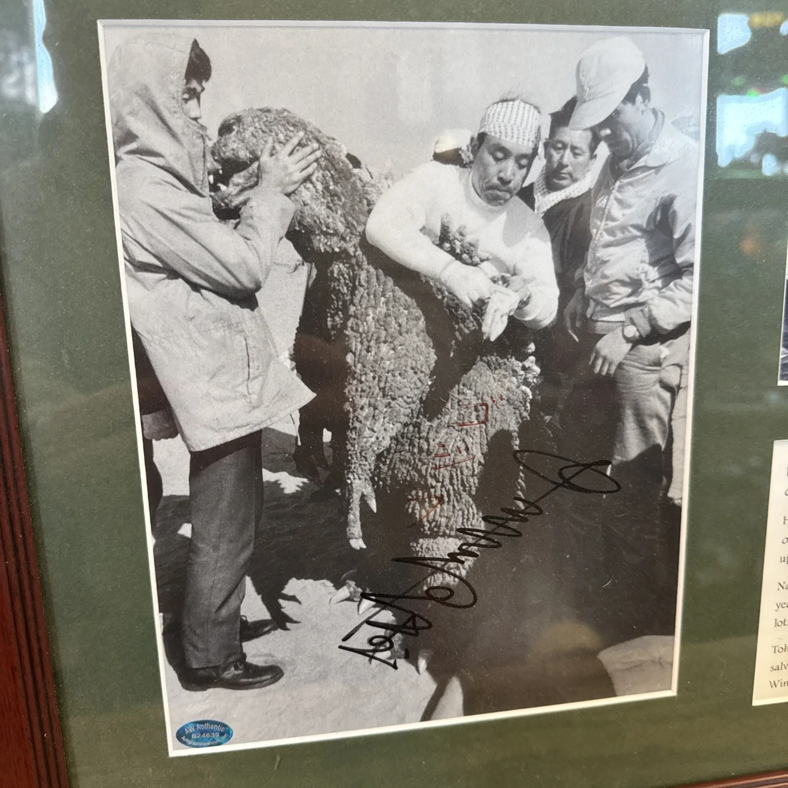 Haruo Nakajima Signed Autograph Framed Picture GODZILLA Suit Actor AW Authentic, изображение 2