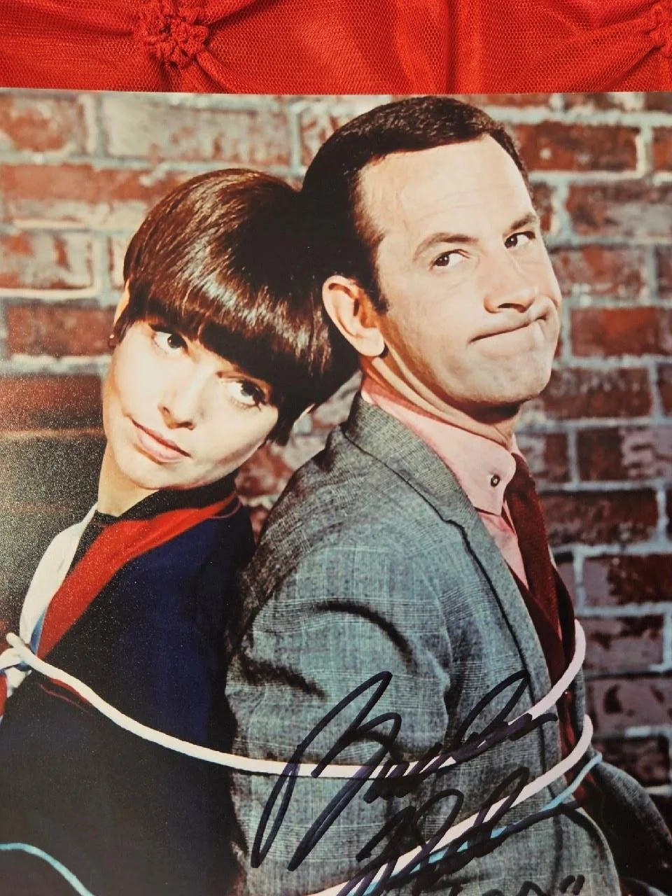 BARBARA FELDON — BARBARA FELDON HAND SIGNED AUTOGRAPHED 8X10 PHOTO GET SMART AGENT "99" REAL COA, image 2