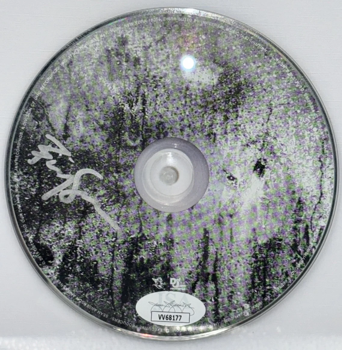 BIG SEAN DARK SKY PARADISE SIGNED CD AUTOGRAPHED FRAMED & MATTED JSA COA VV68177, image 3