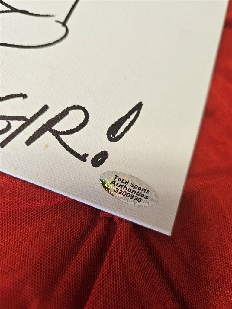 RIKKI SIMONS — RIKKI SIMONS SKETCH OF GIR ON CAVAS BOARD HAND SIGNED AUTOGRAPHED DRAWING W/ COA, изображение 5
