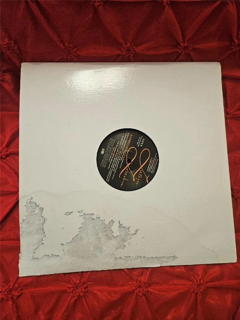 LATOYA LONDON HAND SIGNED RECORD AMERICAN IDOL SINGER APPRECIATE INSCRIBEDW/ COA, image 5