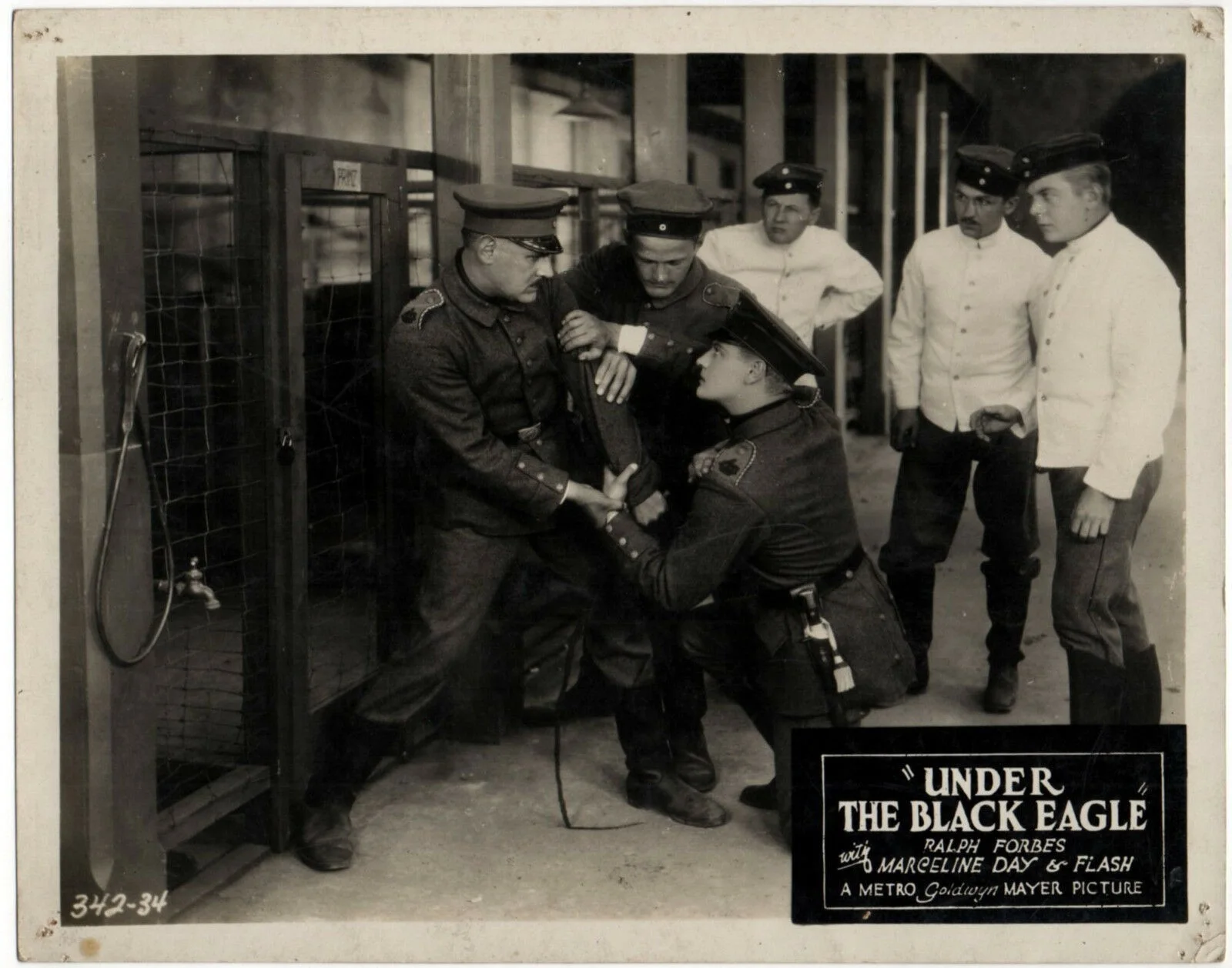 UNDER THE BLACK EAGLE 1928 Ralph Forbes Bert Roach 3 10x8 LOBBY CARDS & 2 STILLS, image 2