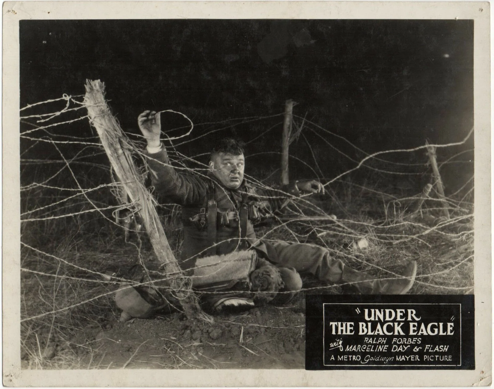 UNDER THE BLACK EAGLE 1928 Ralph Forbes Bert Roach 3 10x8 LOBBY CARDS & 2 STILLS, image 3