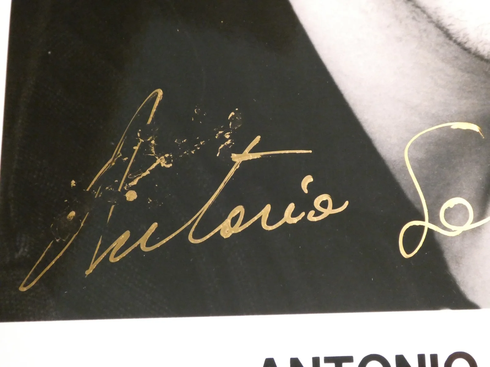 Antonio Sabato Jr — Antonio Sabato Jr Signed B&W 8x10 Photo Autographed, Smeared, изображение 3