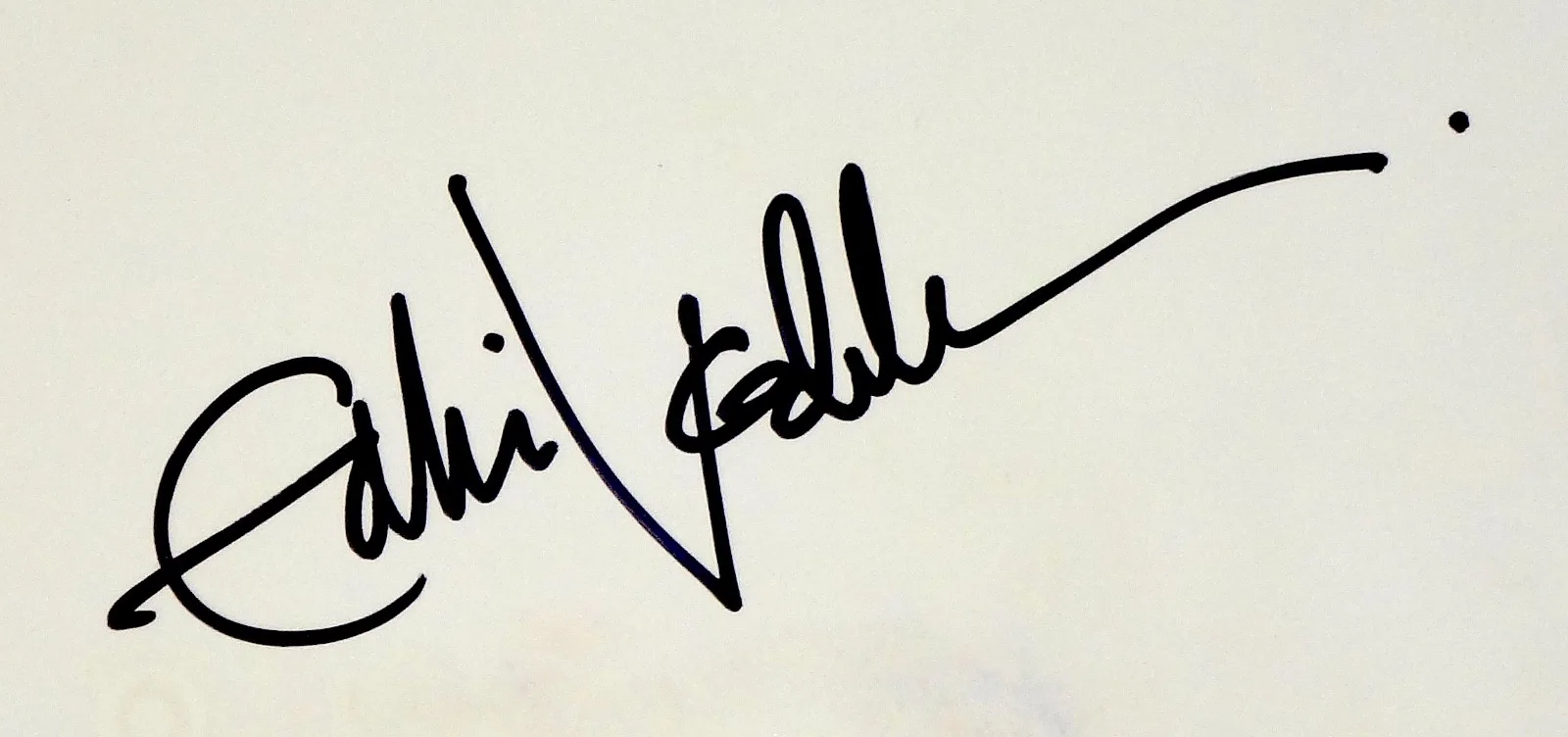 EDDIE VEDDER PEARL JAM HAND SIGNED AUTOGRAPHED STAGE DIVE 16X20 PHOTO! W/ PROOF!, изображение 2