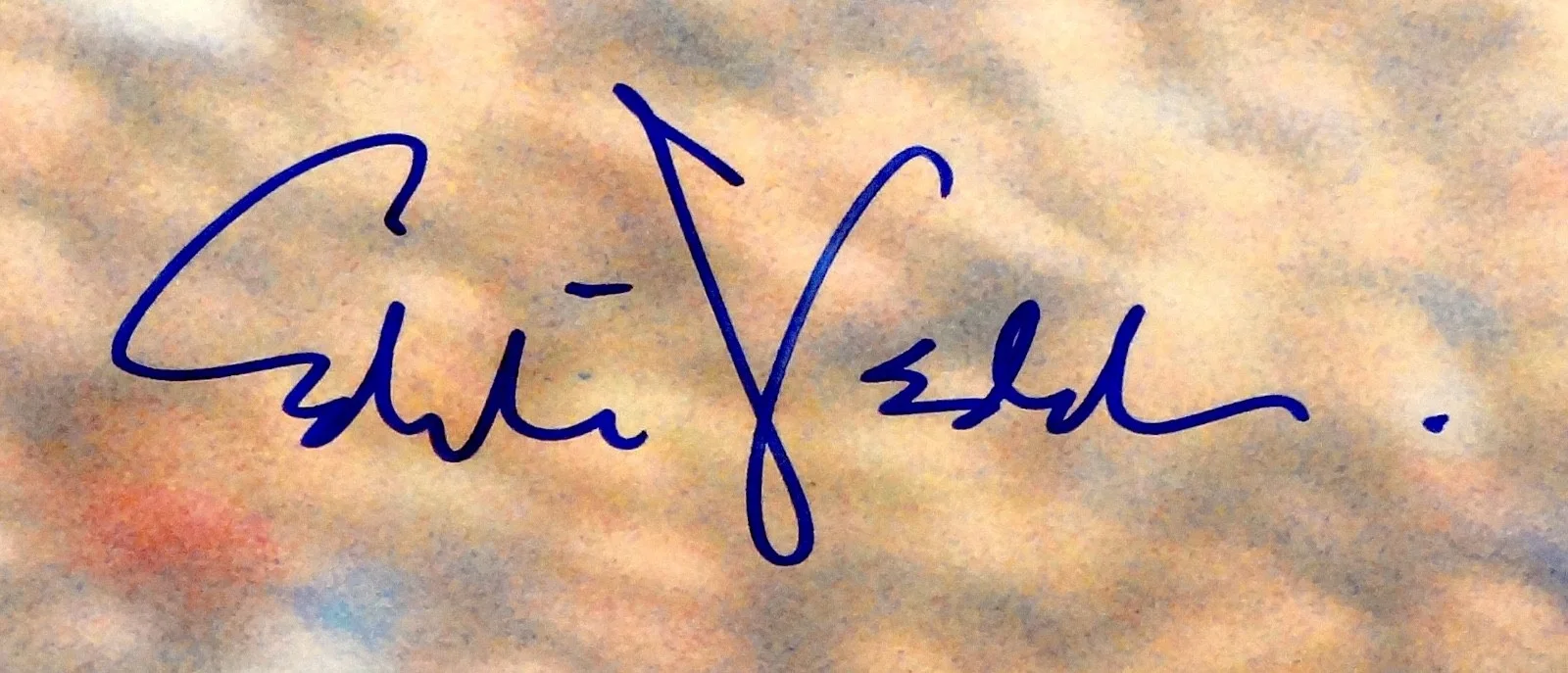 PEARL JAM EDDIE VEDDER HAND SIGNED AUTOGRAPHED ORIGINAL STAGE DIVE POSTER W/PROF, изображение 2