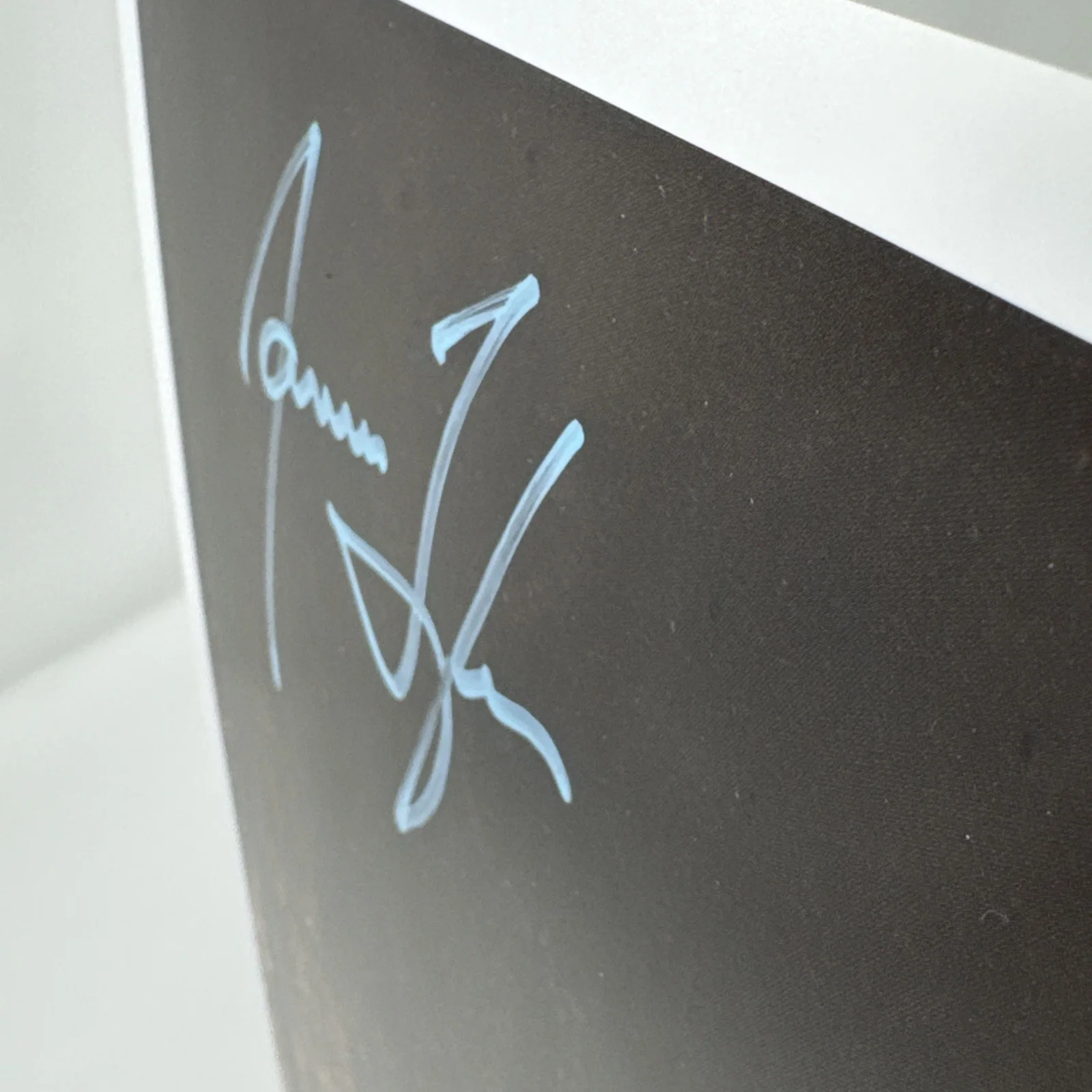 James Taylor — JAMES TAYLOR SIGNED AUTOGRAPH 12X12 ALBUM INSERT PHOTO - SWEET BABY JAMES, изображение 5