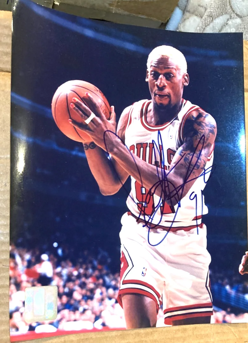 DENNIS RODMAN — DENNIS RODMAN CHICAGO BULLS BASKETBALL SIGNED AUTO 8X10 COLOR PHOTO CERT.