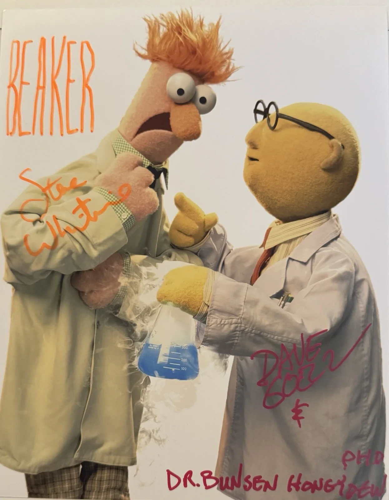 Steve Whitmire — The Muppets , Steve Whitmire , Dave Goelz , Signed 8x10 The Great Gonzo & Rizzo, изображение 2