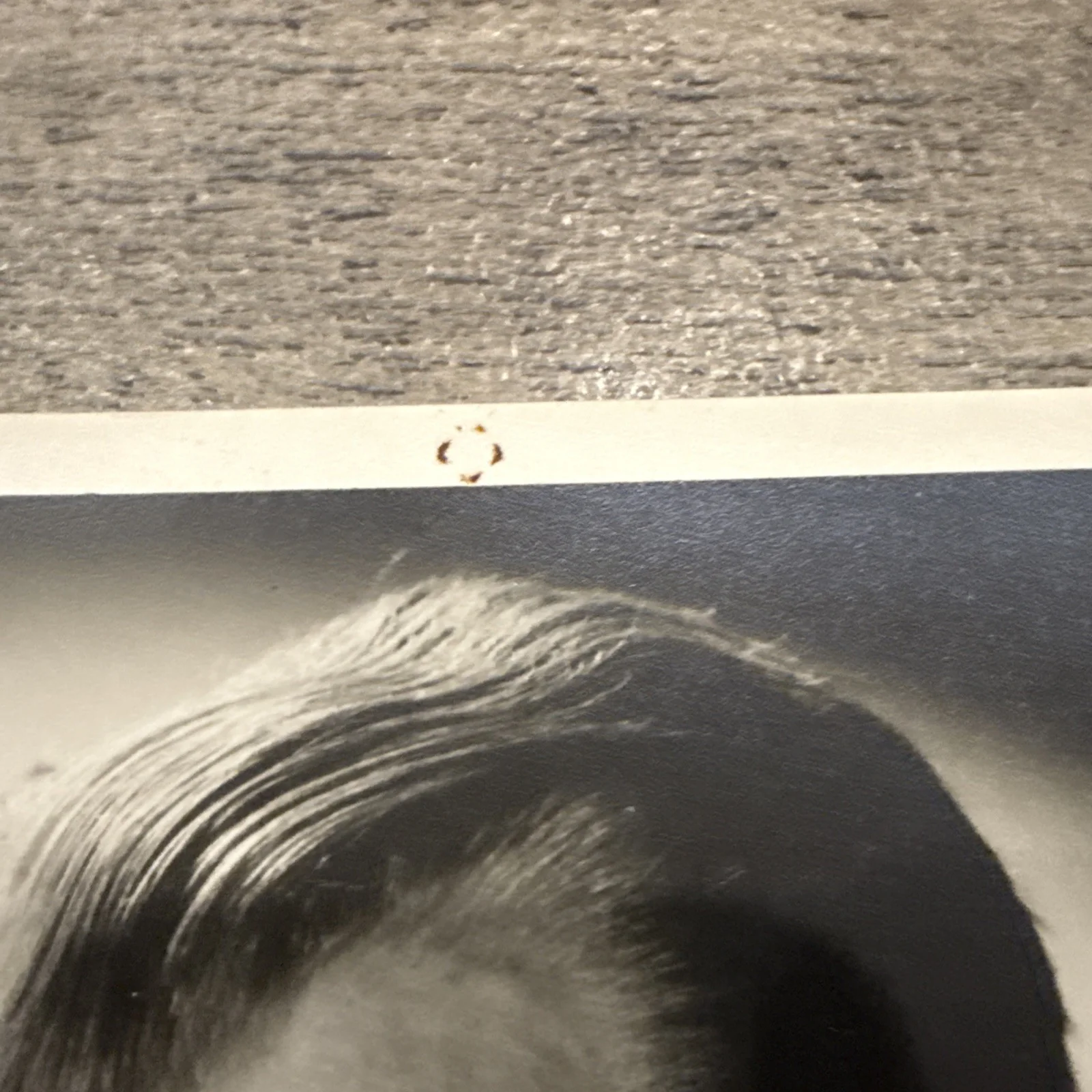 James Cagney — 詹姆斯·卡格尼 1957 年照片未签名宣传照片, image 2