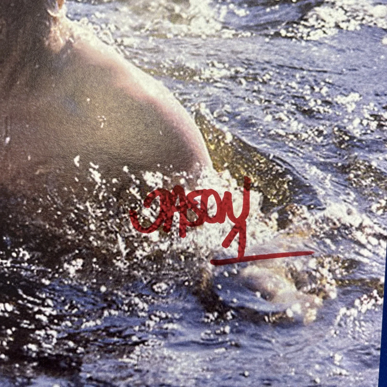 Ari Lehman — Ari Lehman Signed Friday The 13th Crystal Lake Photo 8x10 I never die! “E”, изображение 3