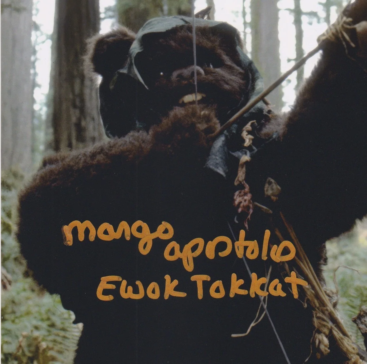 MARGO APOSTOLOS hand-signed STAR WARS RETURN OF THE JEDI 8x10 uacc rd coa EWOK, изображение 2