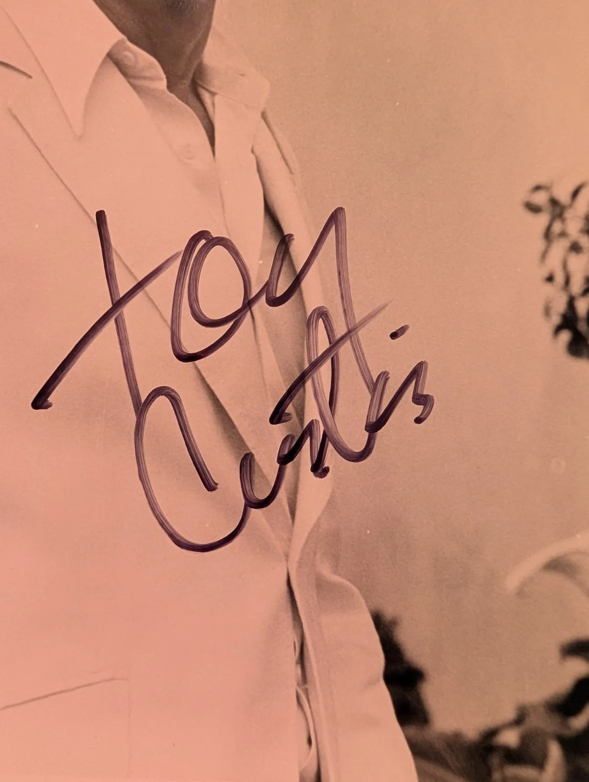 Tony Curtis — Tony Curtis Signed Autographed Photo 8/10 At A Younger Age, image 2