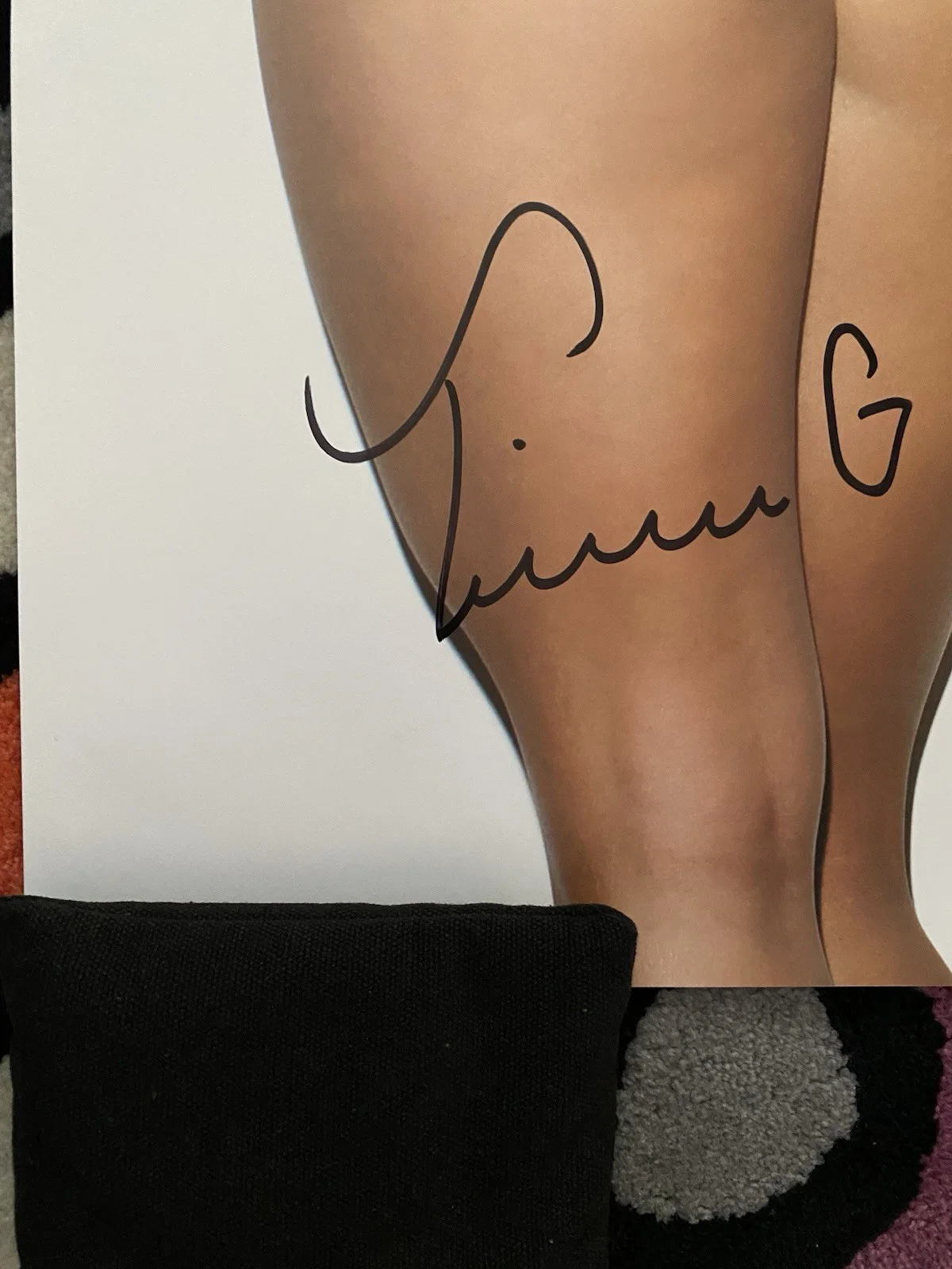 Tianna Gregory Shay Maria Signed Poster Rare 24x36 Model Photography Van Styles, изображение 2