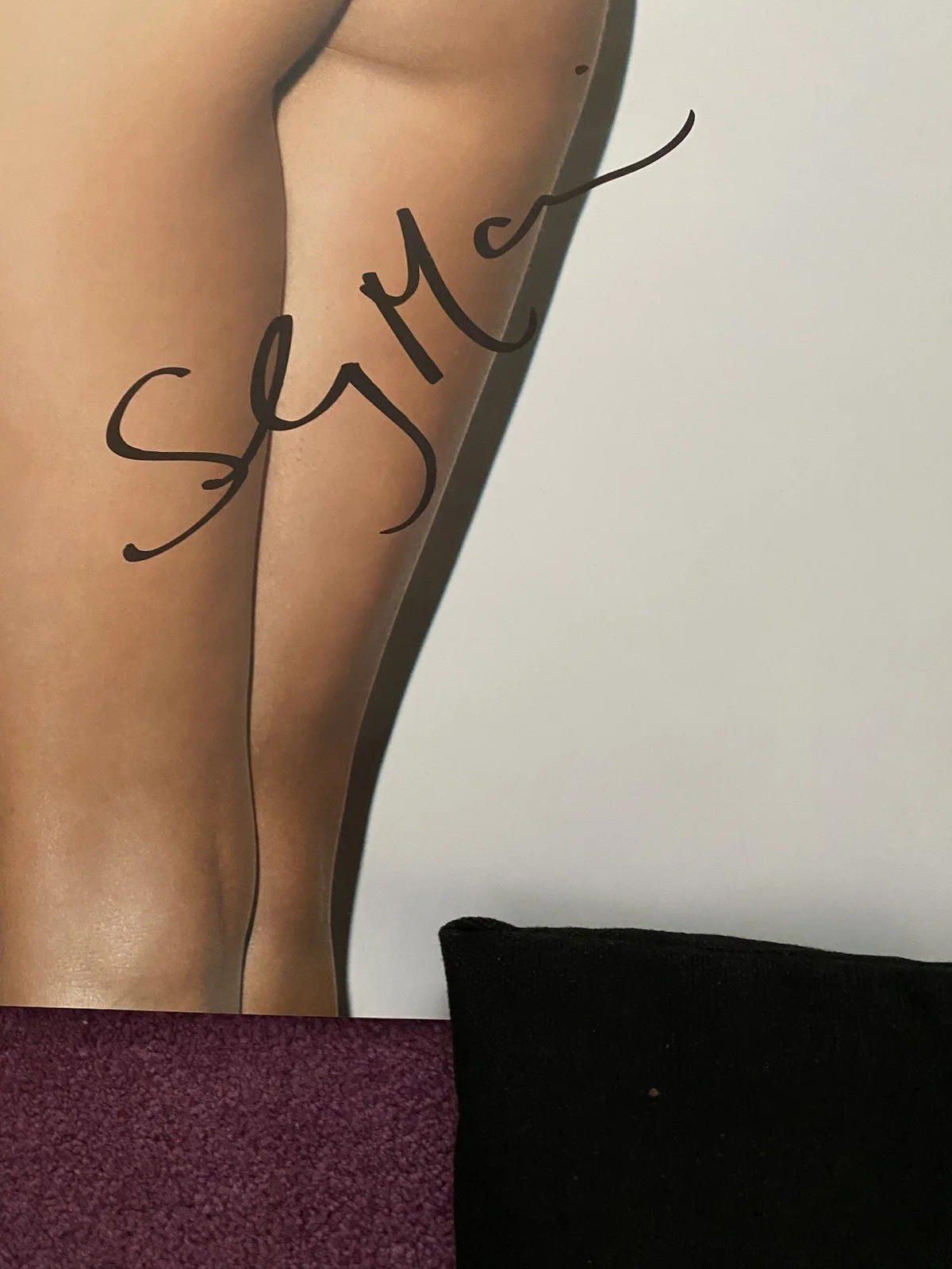 Tianna Gregory Shay Maria Signed Poster Rare 24x36 Model Photography Van Styles, изображение 3