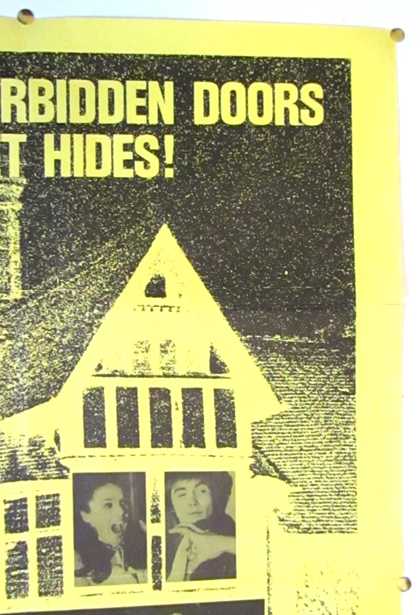 Original Horror House USA One Sheet Film Poster 1970, image 3