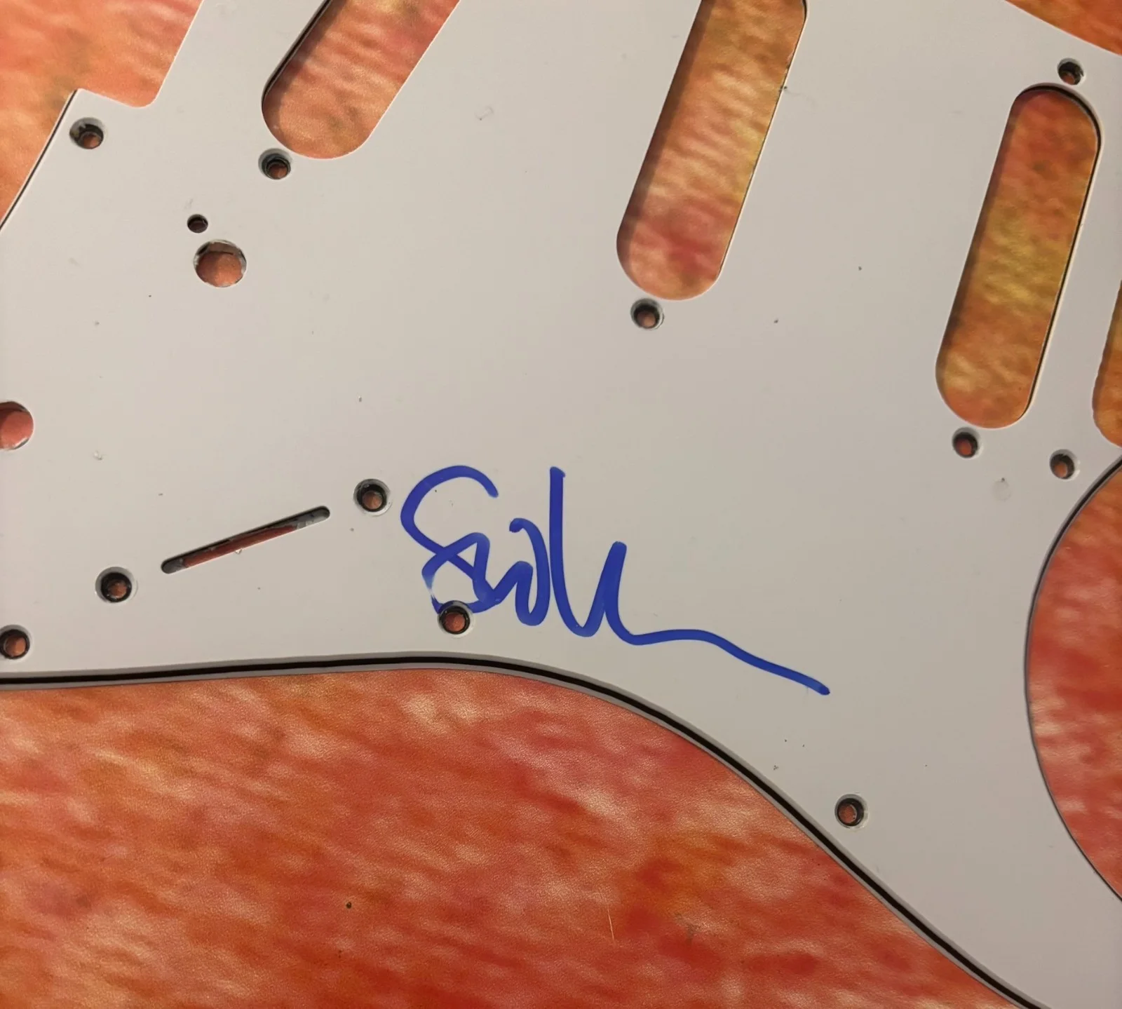GFA Joe Satriani's Bassist * STU HAMM * Signed Electric Pickguard PROOF COA, image 3