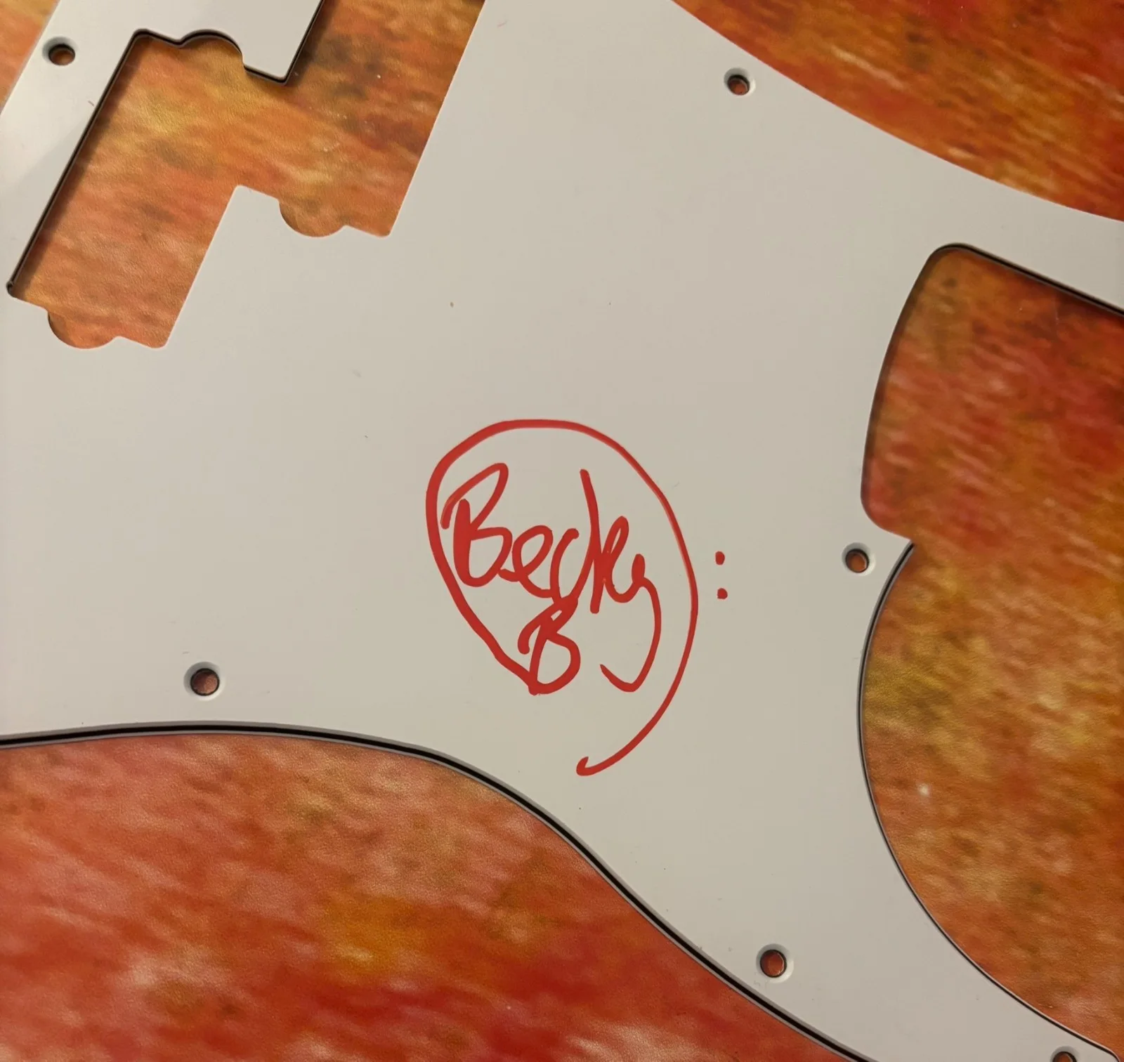 GFA Mercyful Fate Bassist * BECKY BALDWIN * Signed Electric Pickguard PROOF COA, изображение 2