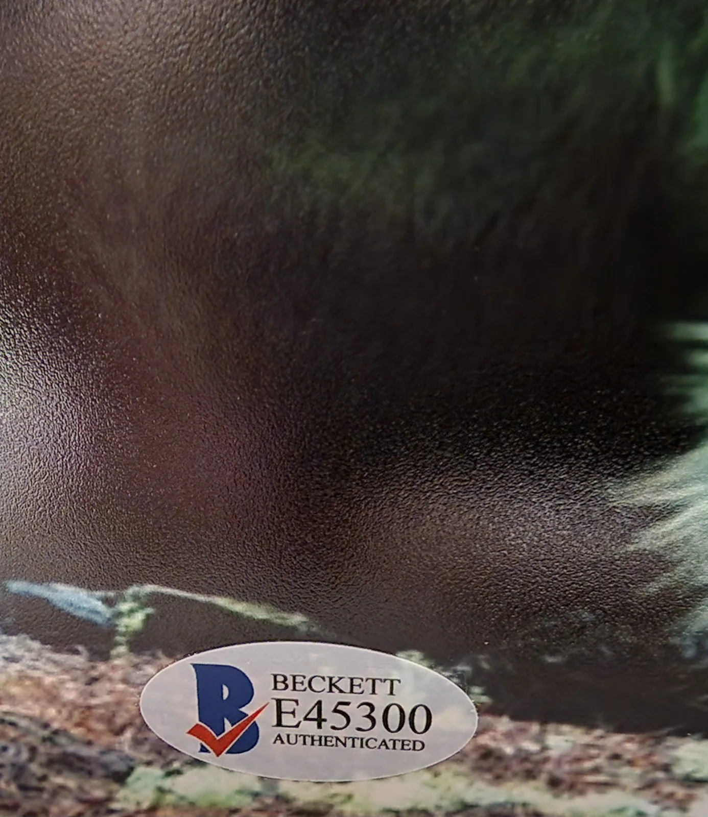 John Kassir — JOHN KASSIR AUTOGRAPHED SIGNED 8x10 PHOTO PETE'S DRAGON BECKETT COA, image 3
