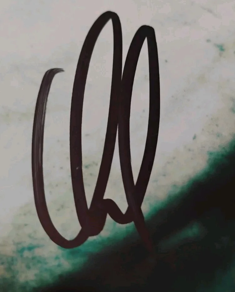 DAVID DRAIMAN DISTURBED BAND SINGER SIGNED AUTOGRAPHED THE SICKNESS ALBUM RECORD, изображение 2