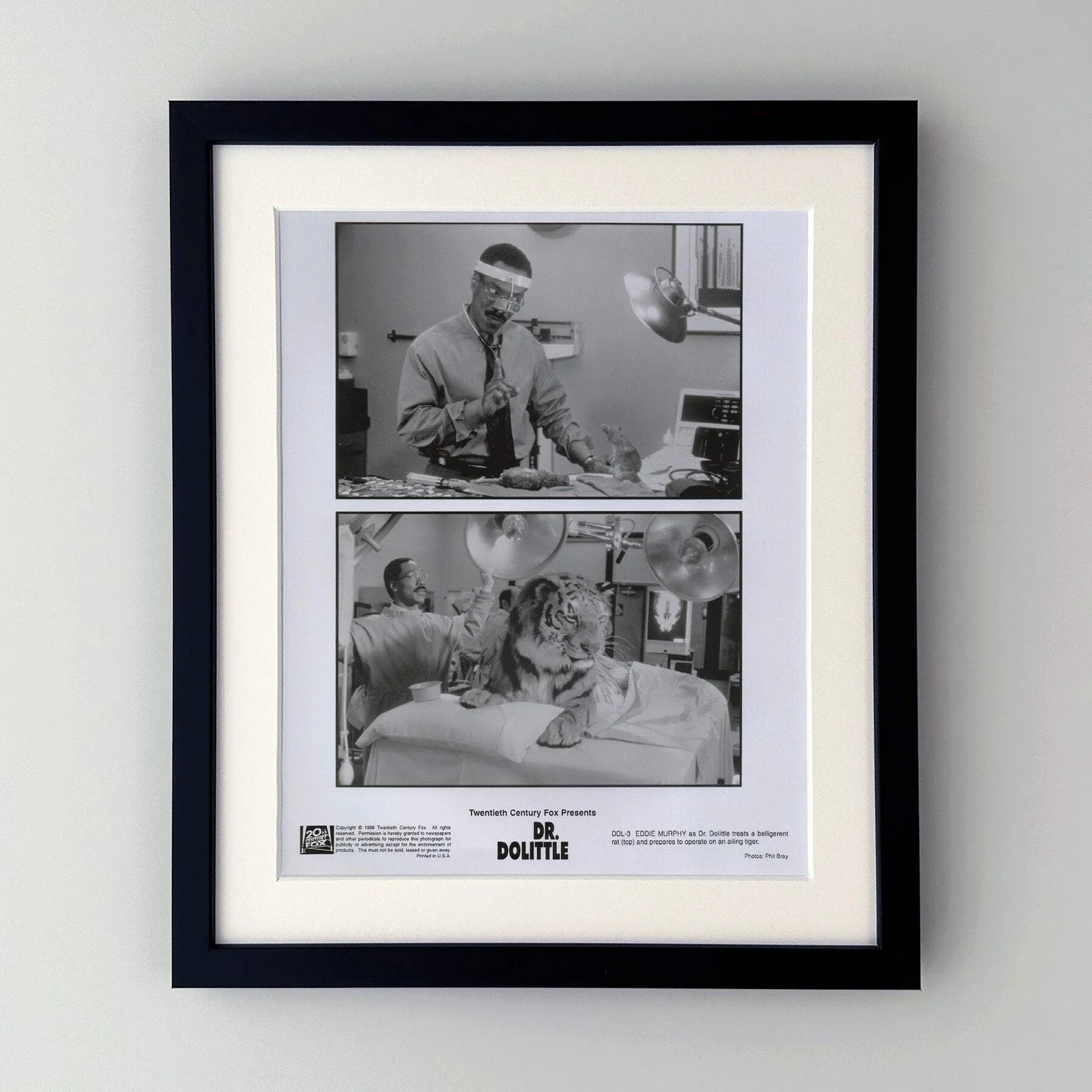 Doctor Dolittle (1998) Press Publicity Still - Framed, image 2