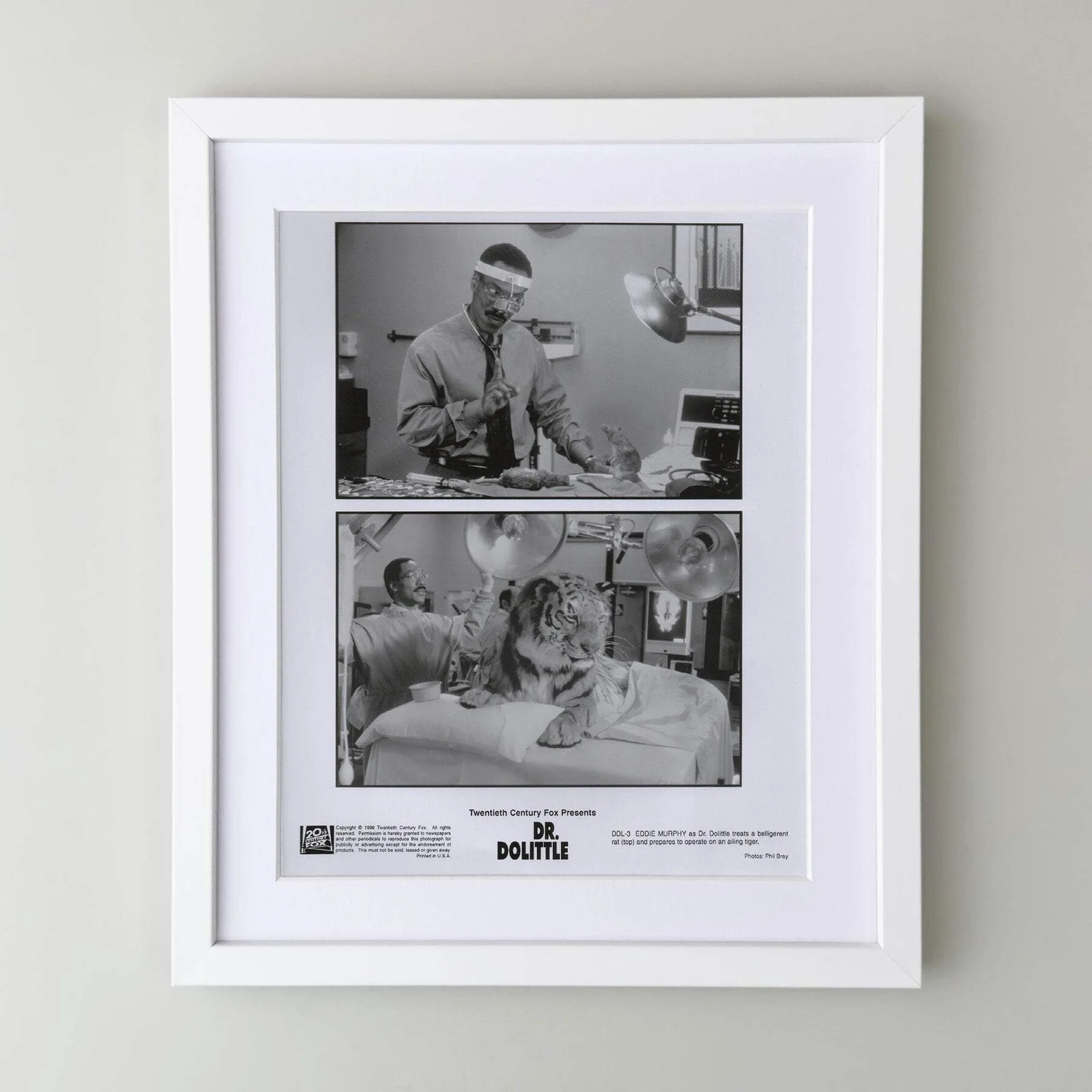 Doctor Dolittle (1998) Press Publicity Still - Framed, image 3