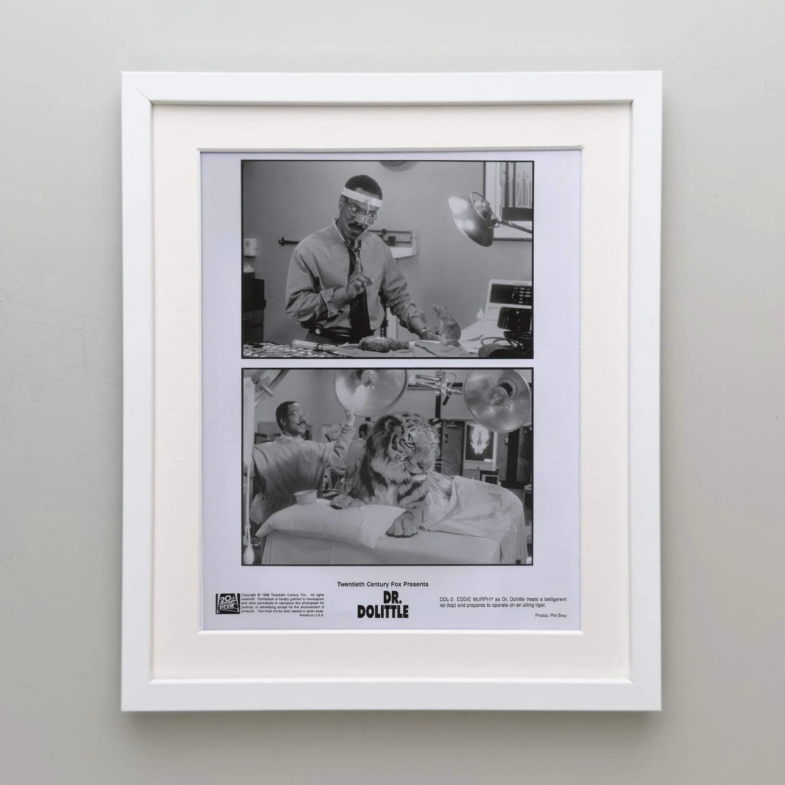 Doctor Dolittle (1998) Press Publicity Still - Framed, image 4