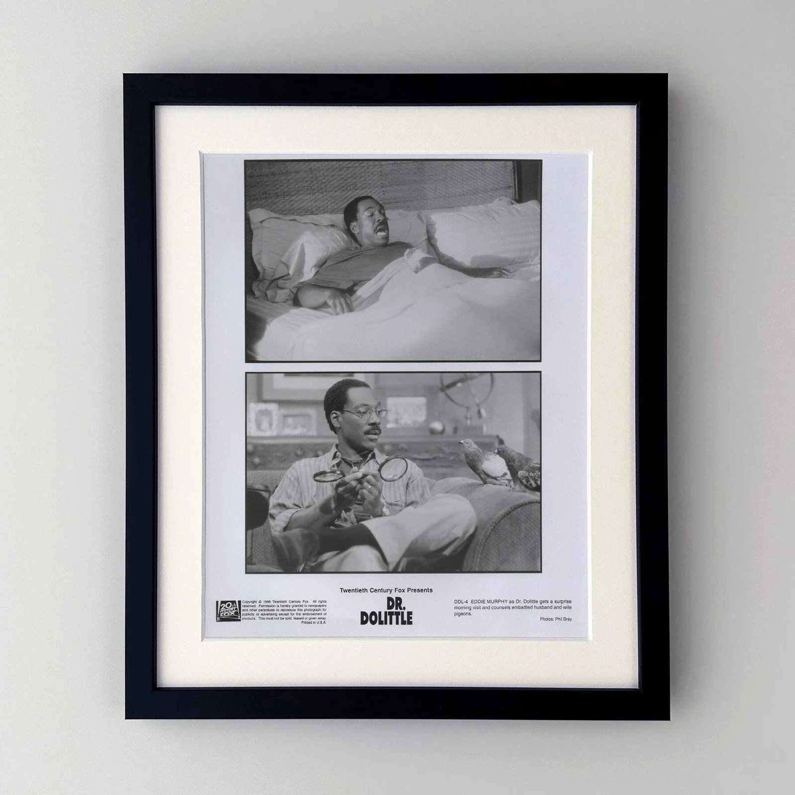 Doctor Dolittle (1998) Press Publicity Still - Framed, image 2