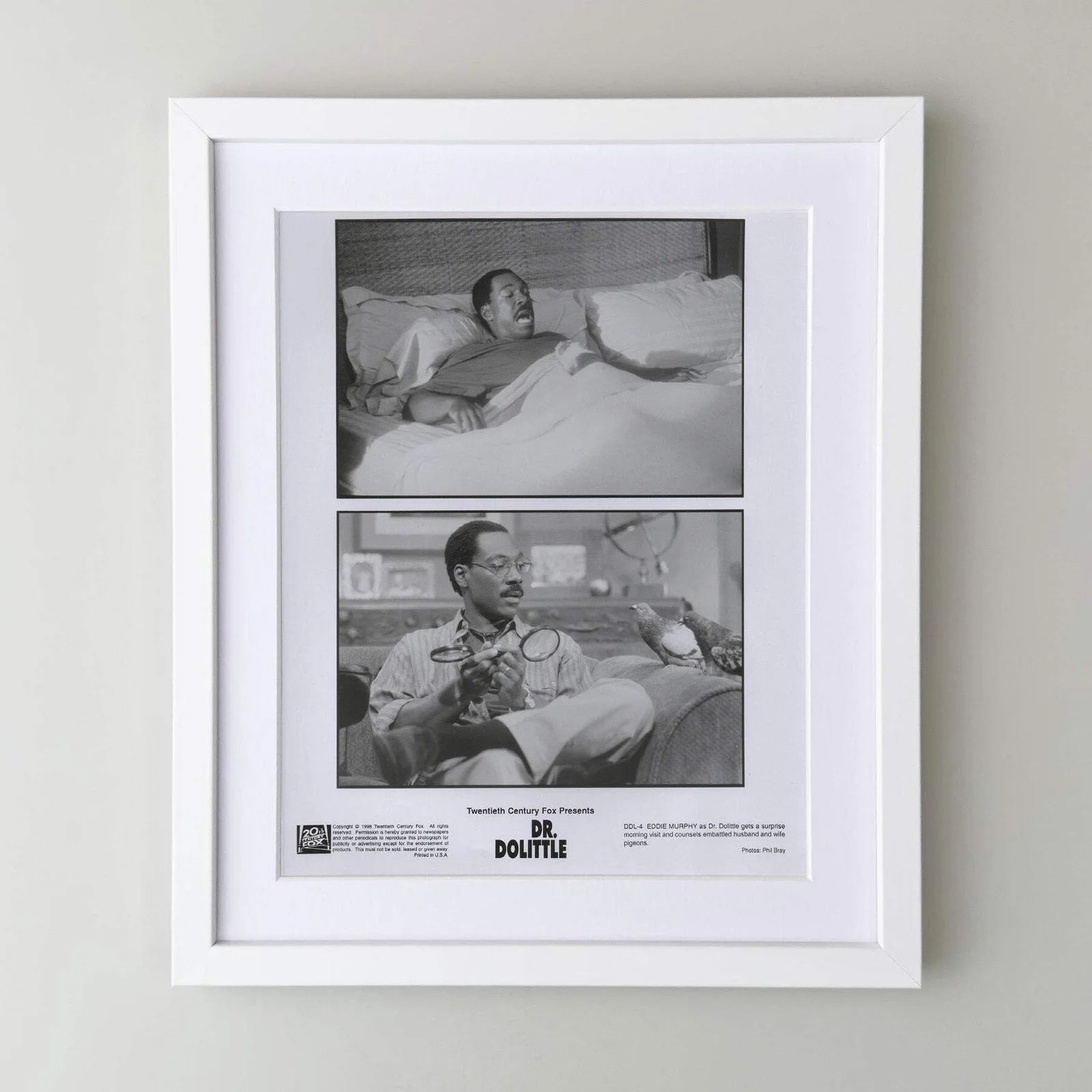Doctor Dolittle (1998) Press Publicity Still - Framed, image 3