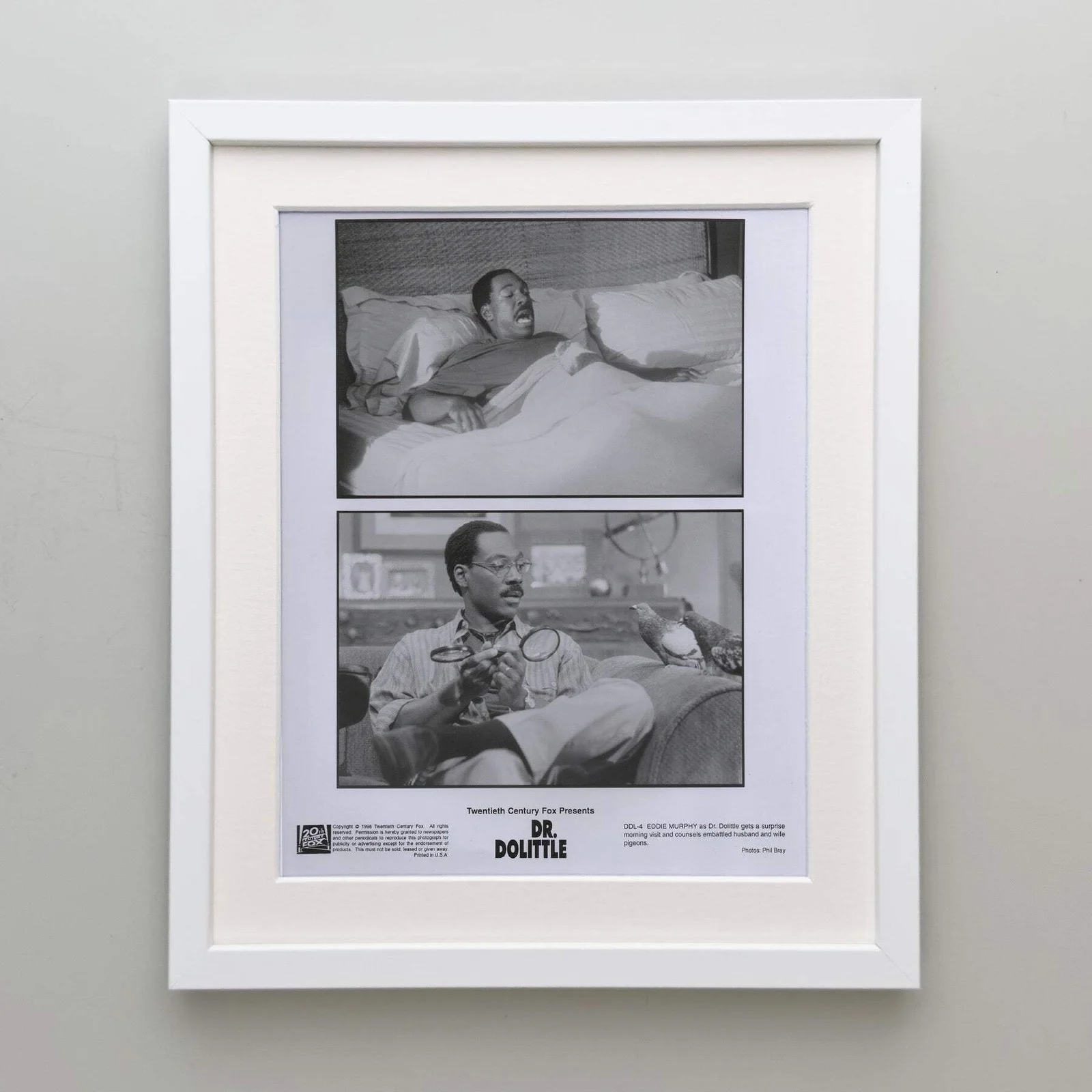 Doctor Dolittle (1998) Press Publicity Still - Framed, image 4