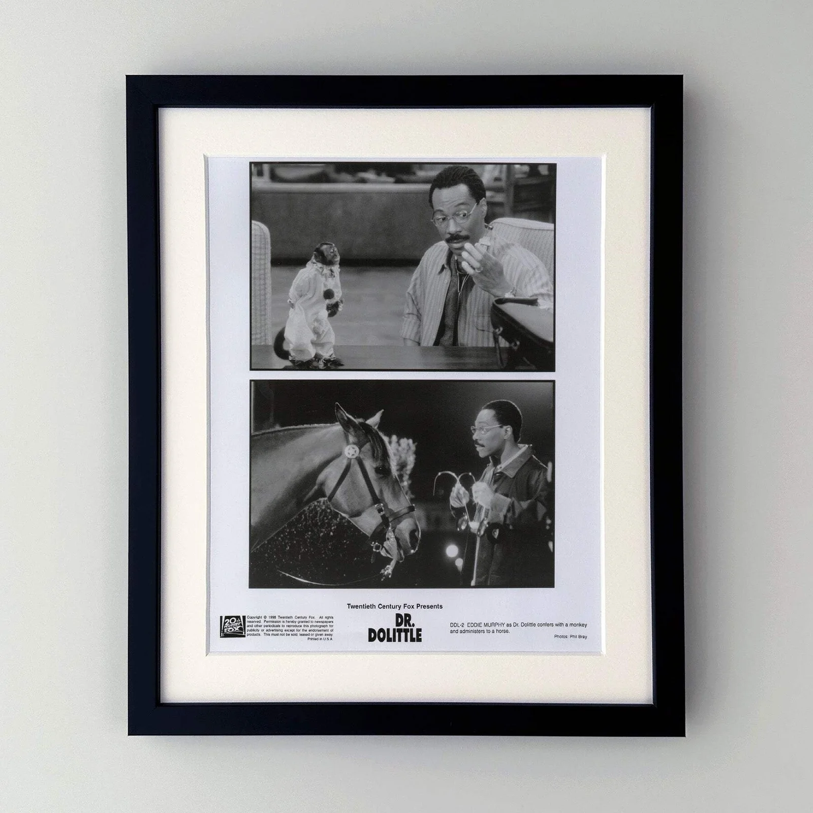 Doctor Dolittle (1998) Press Publicity Still - Framed, image 2