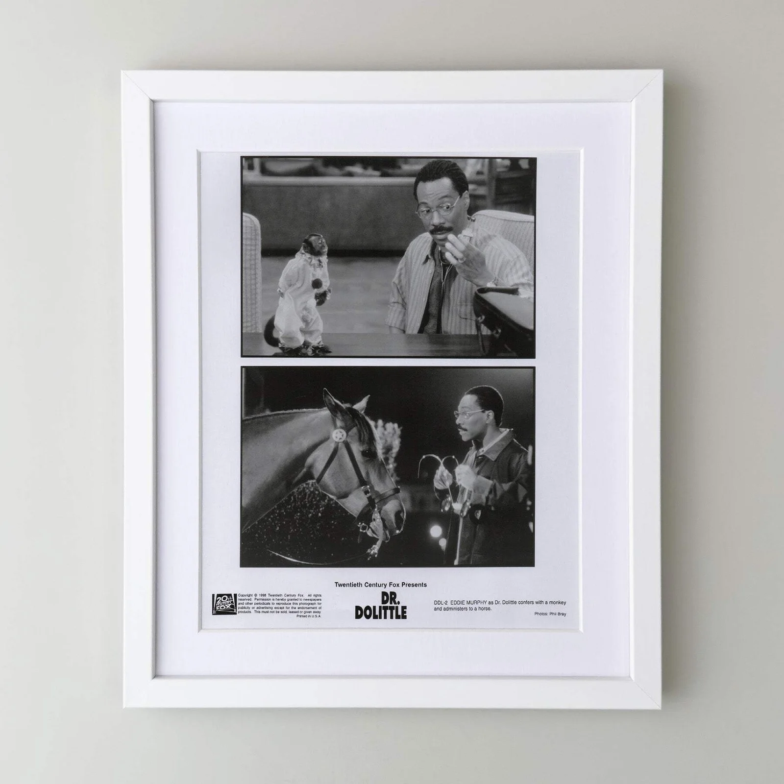 Doctor Dolittle (1998) Press Publicity Still - Framed, image 3