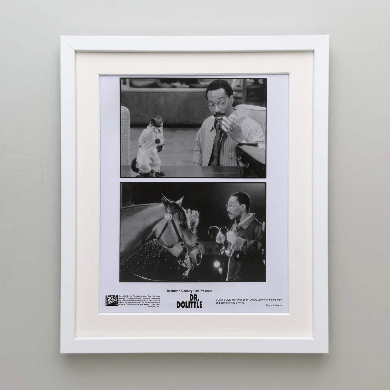 Doctor Dolittle (1998) Press Publicity Still - Framed, image 4