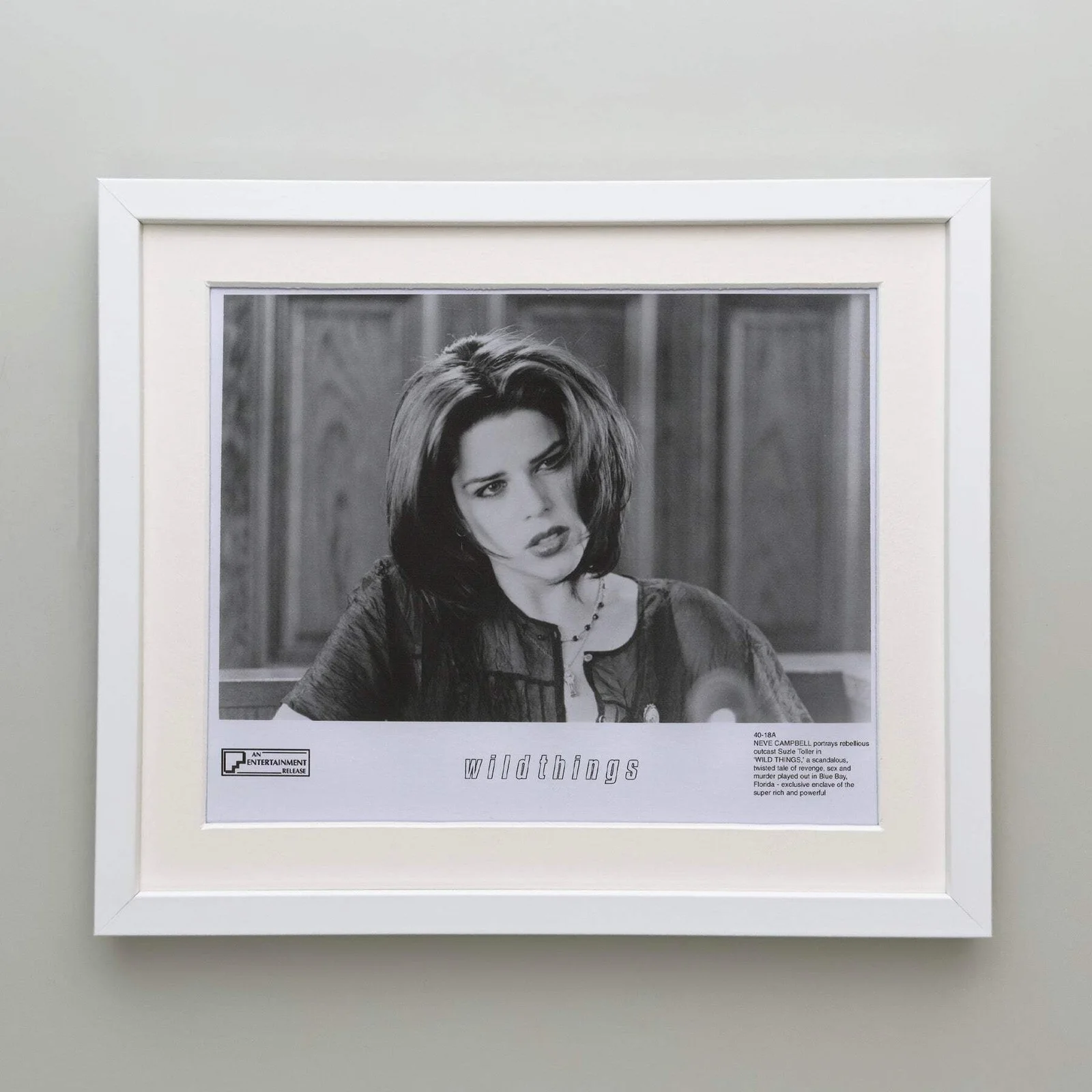 Wild Things (1998) Press Publicity Still - Framed, image 4