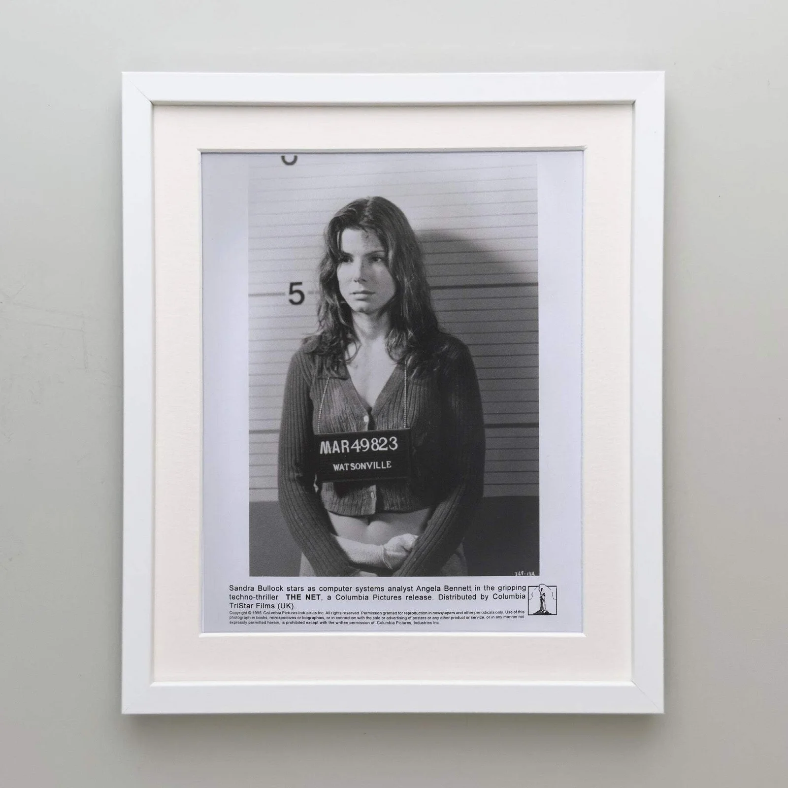 The Net (1995) Press Publicity Still - Framed, image 4