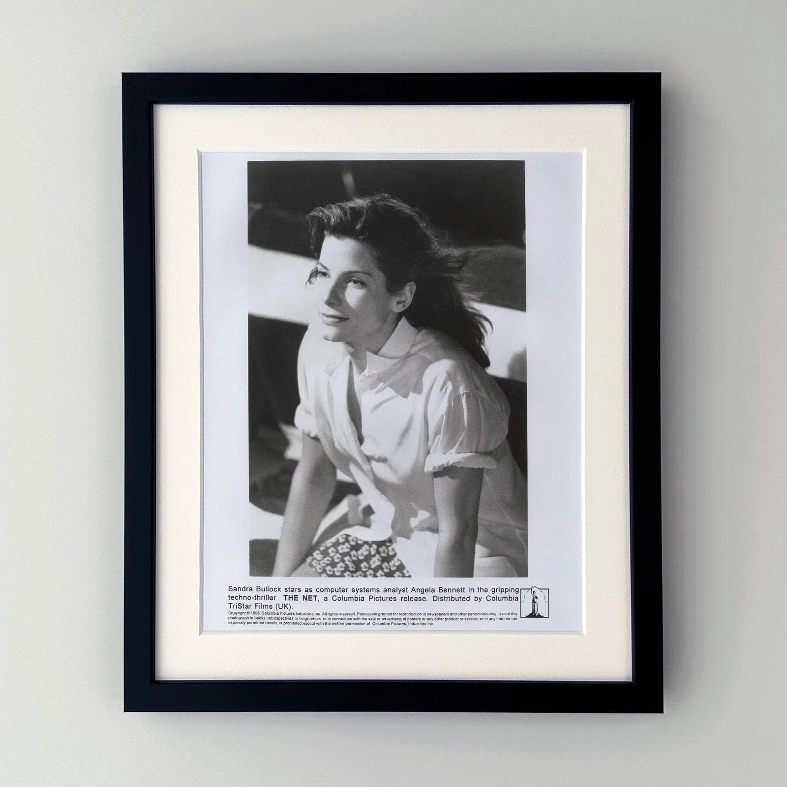 The Net (1995) Press Publicity Still - Framed, image 2