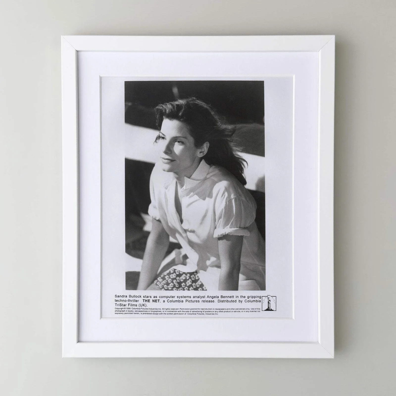 The Net (1995) Press Publicity Still - Framed, image 3