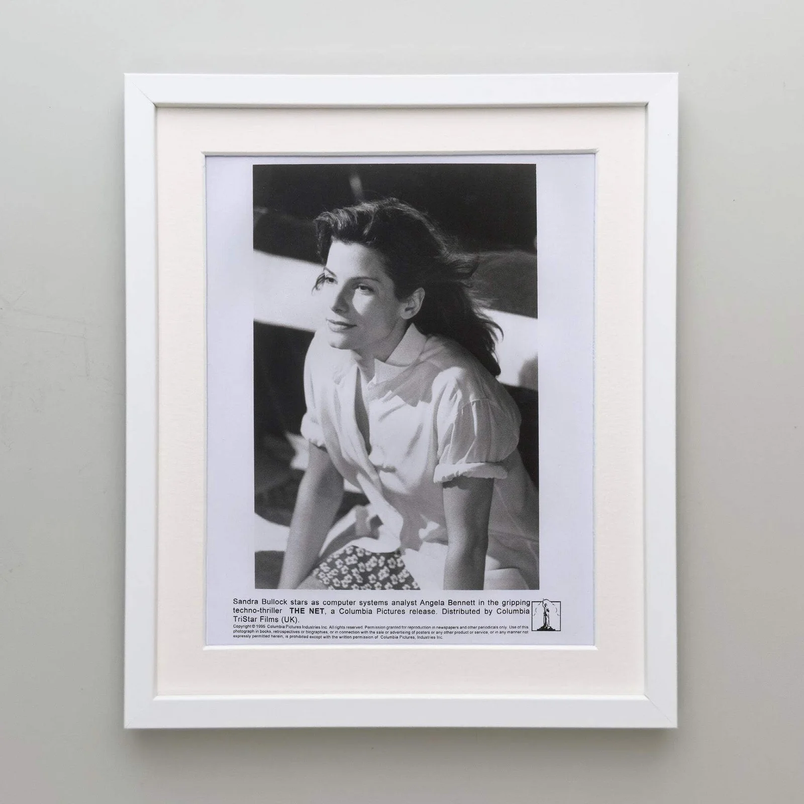 The Net (1995) Press Publicity Still - Framed, image 4