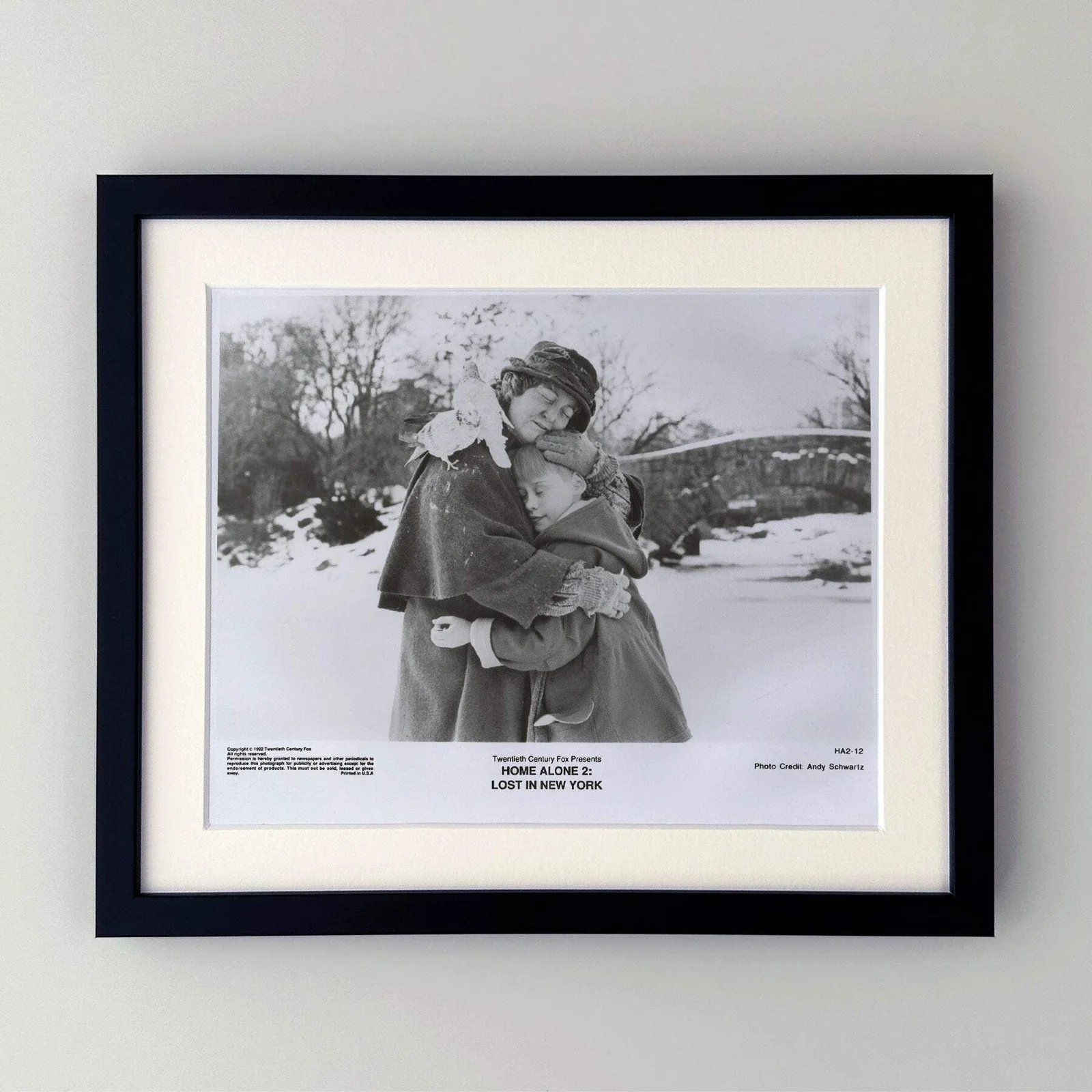 Home Alone 2 (1992) Press Publicity Still - Framed, image 2
